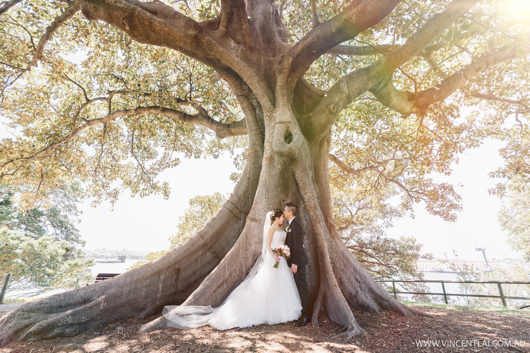 Royal Botanic Garden Wedding Photo Sydney