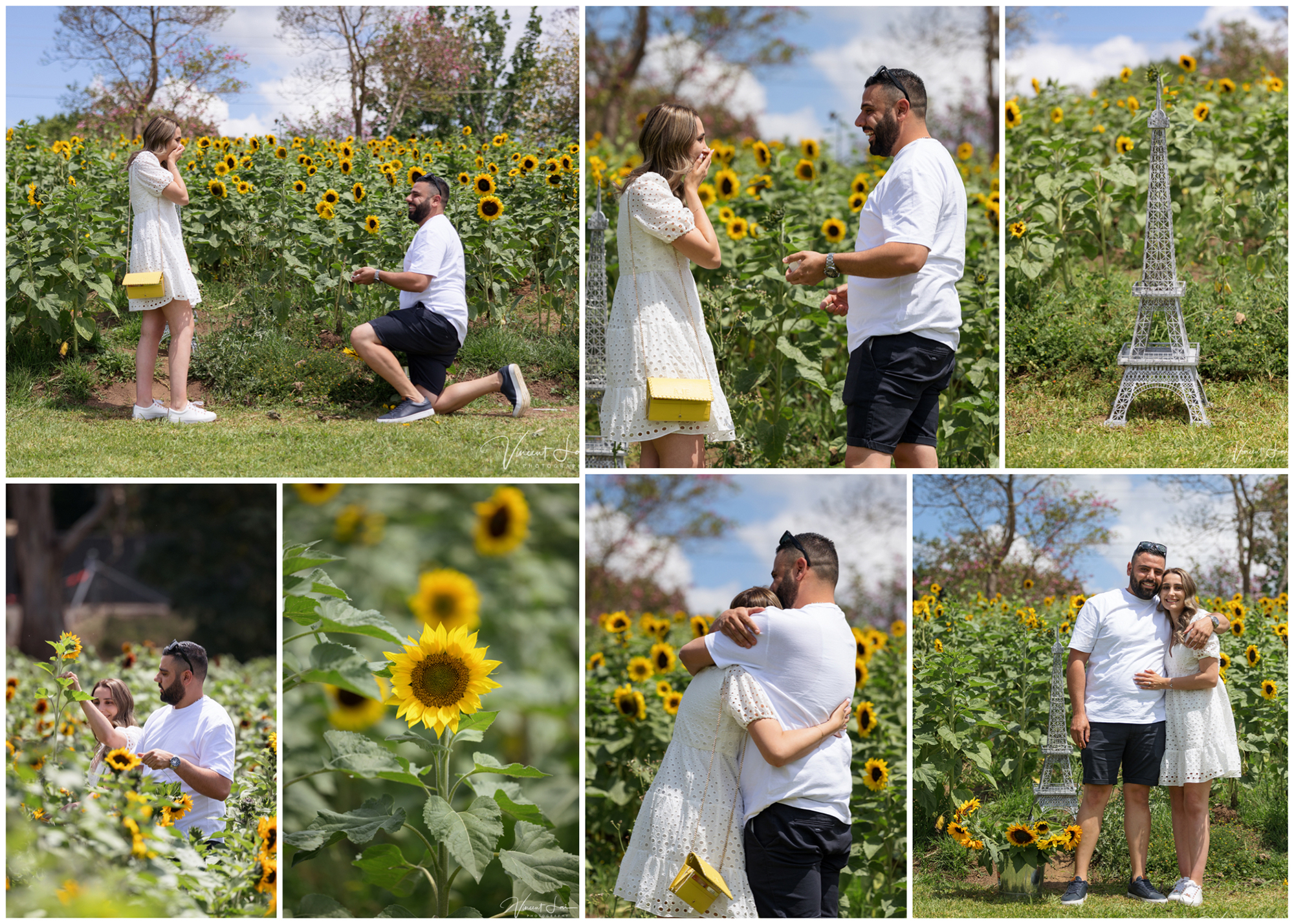 Surprise Proposal at Glenbernie Sunflower Farm