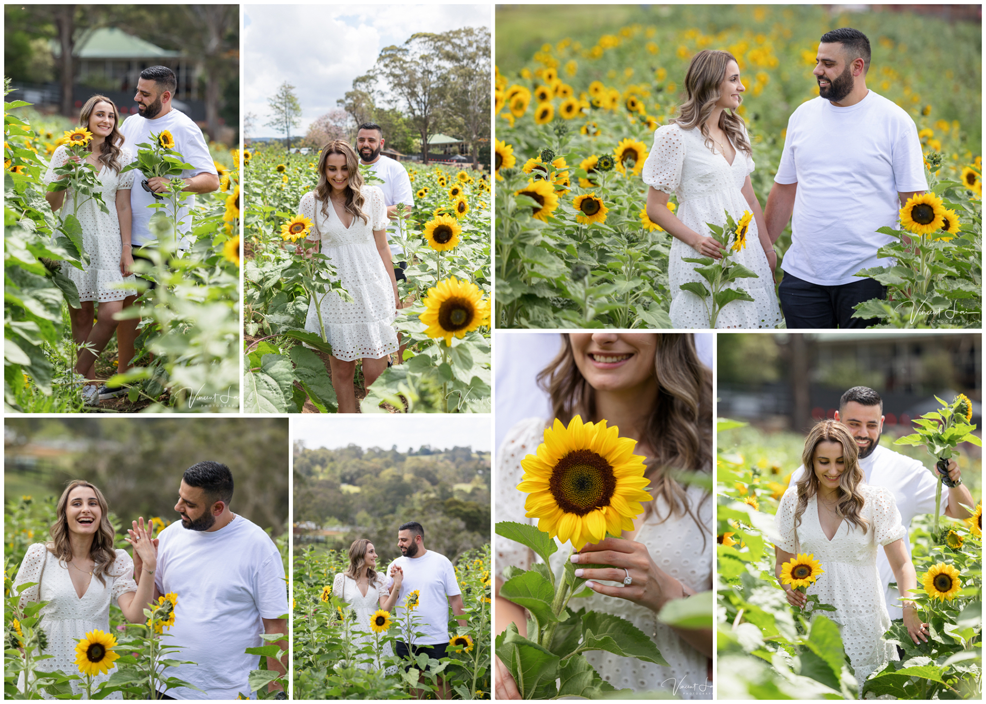 Sydney Sunflower Farm Surprise Proposal Photo