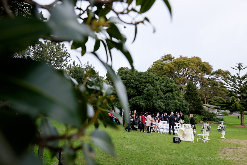 Lawn 33 Royal Botanic Gardens