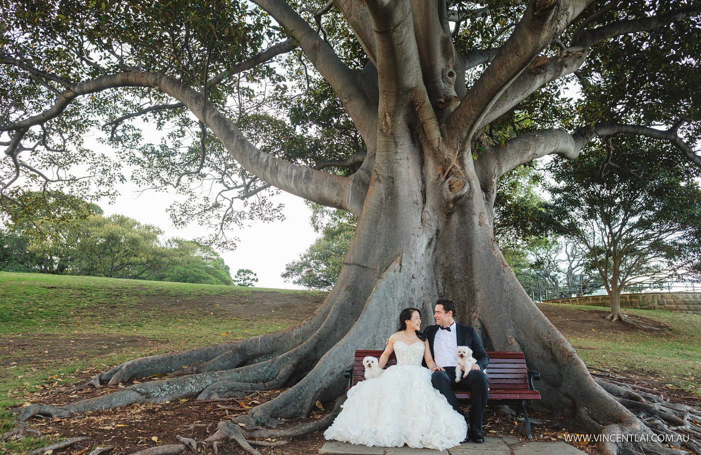 Mrs Macquarie's Chair Wedding Photo