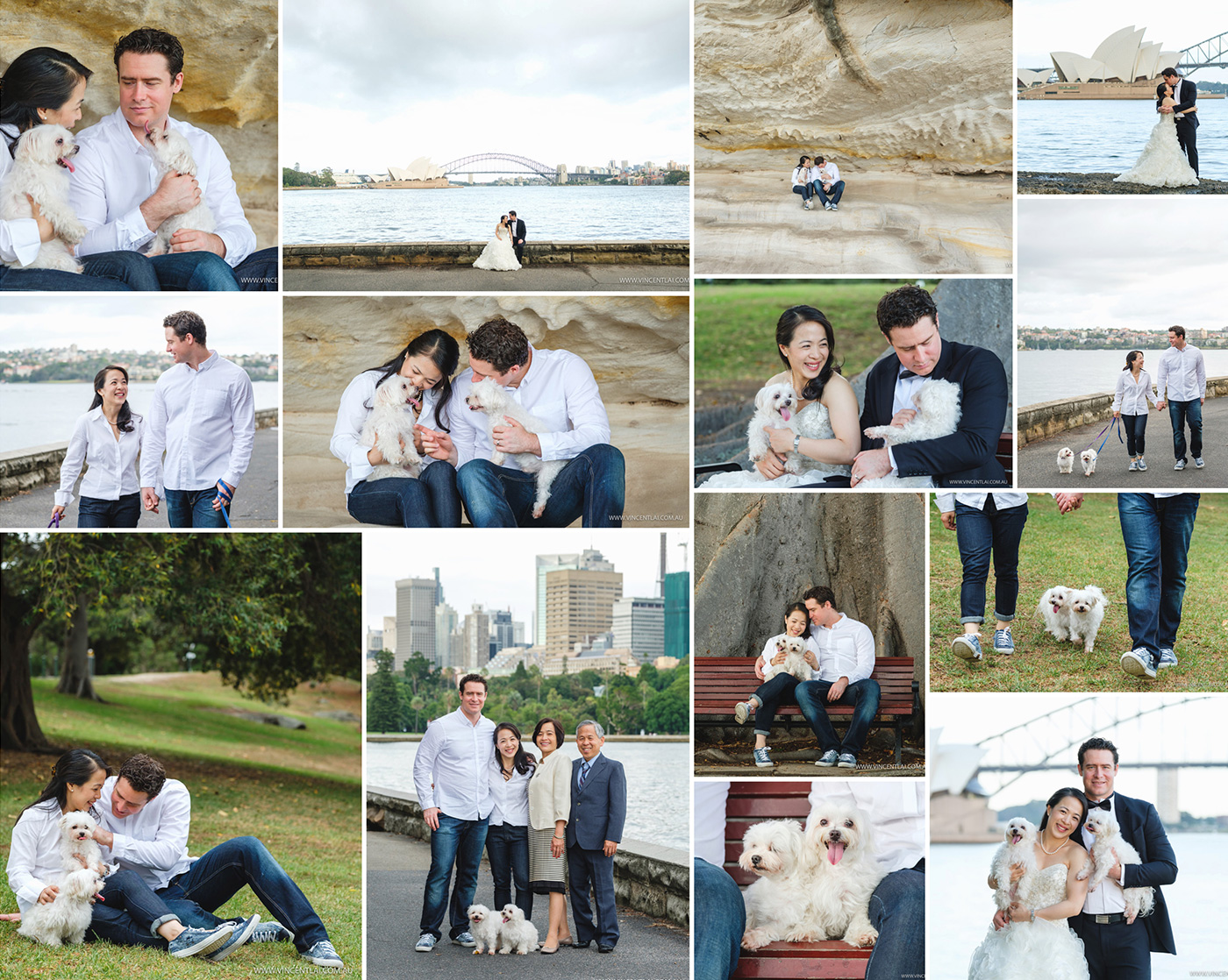 Mrs Macquaries Point Photography Session