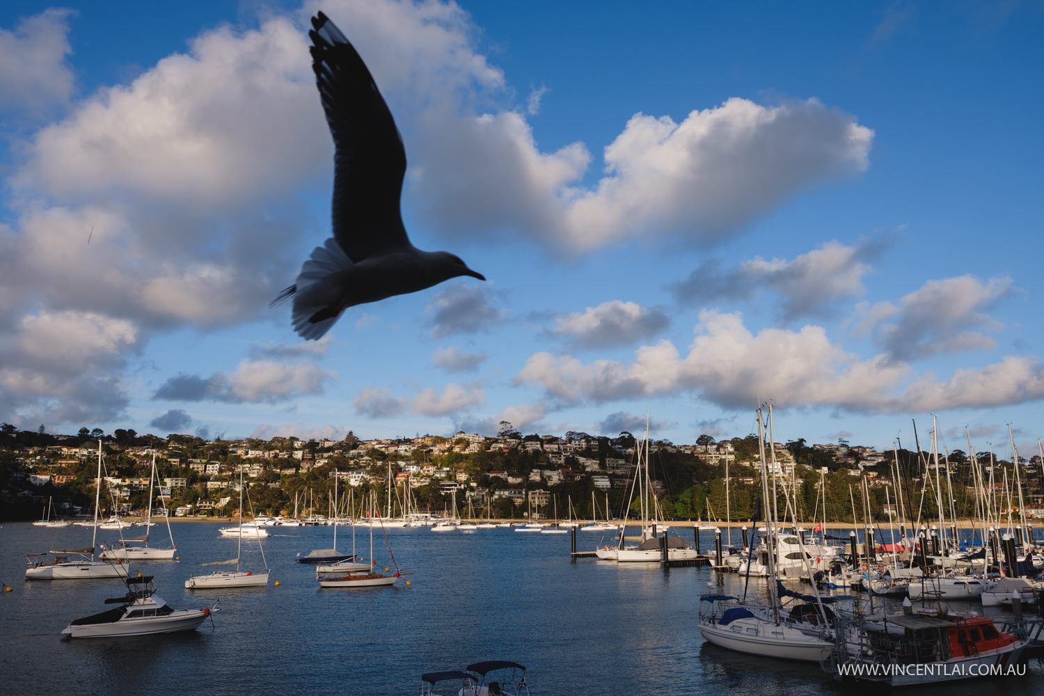 Weddings at The Spit - Zest Watefront Weddings Sydney