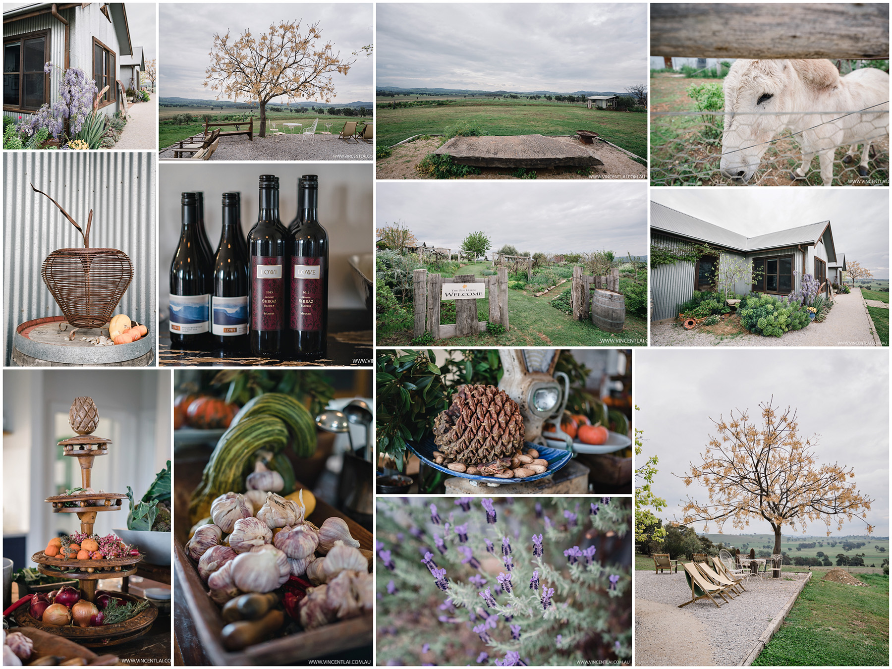 The Zin House Mudgee Wedding