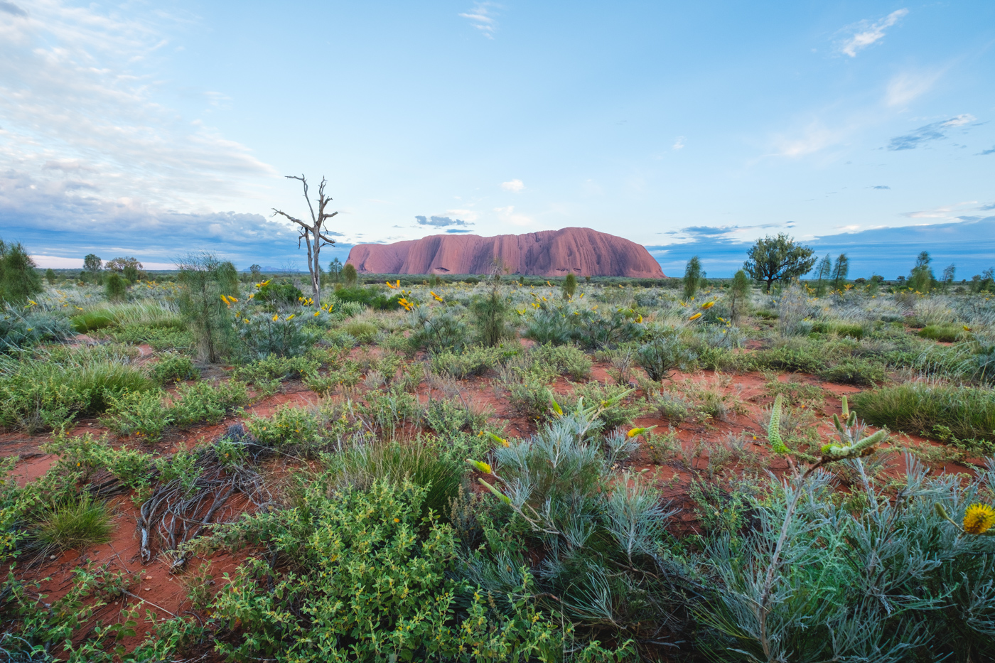 Uluru Ayers Rock Holiday