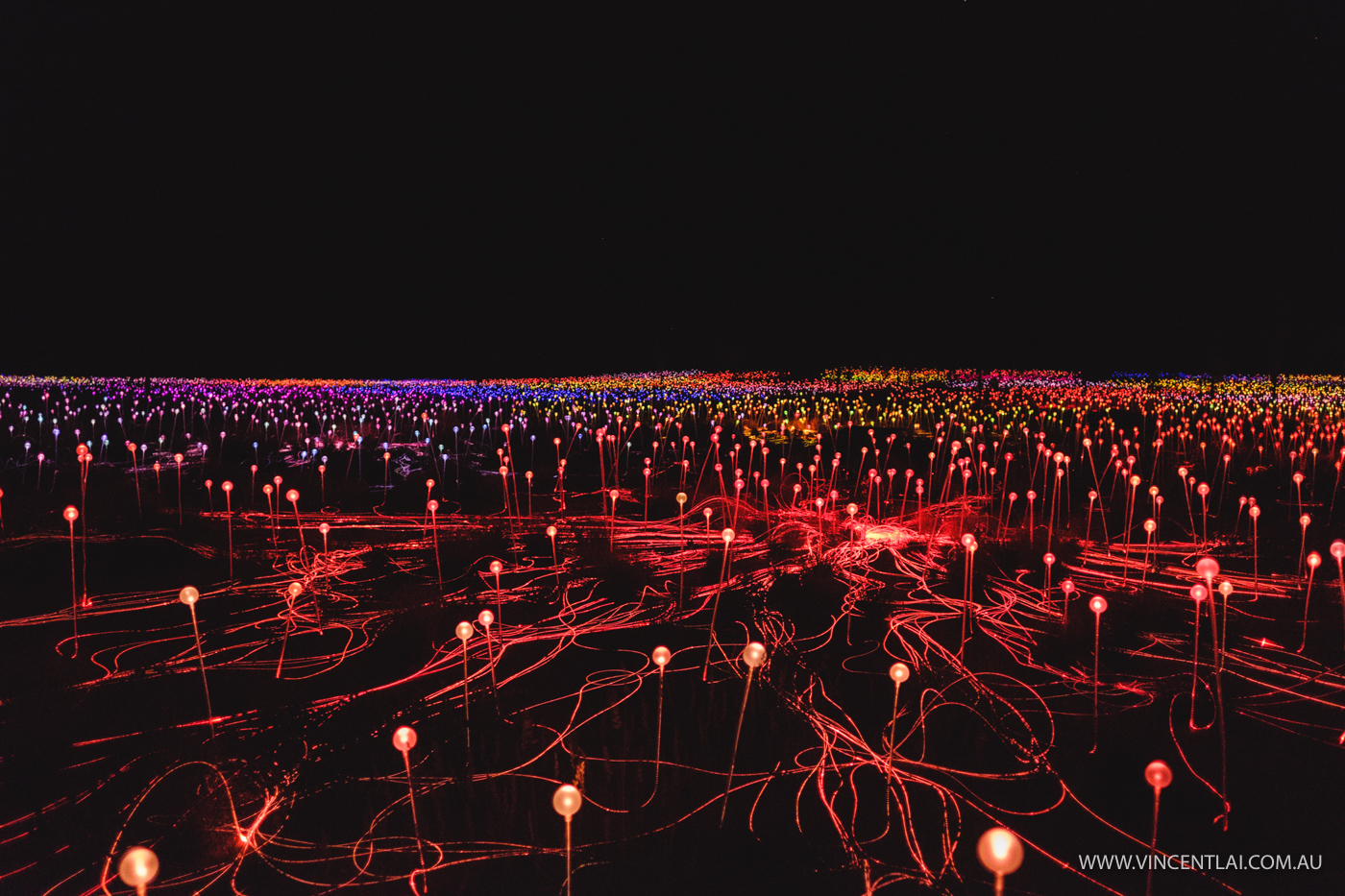 Field of Light Uluru