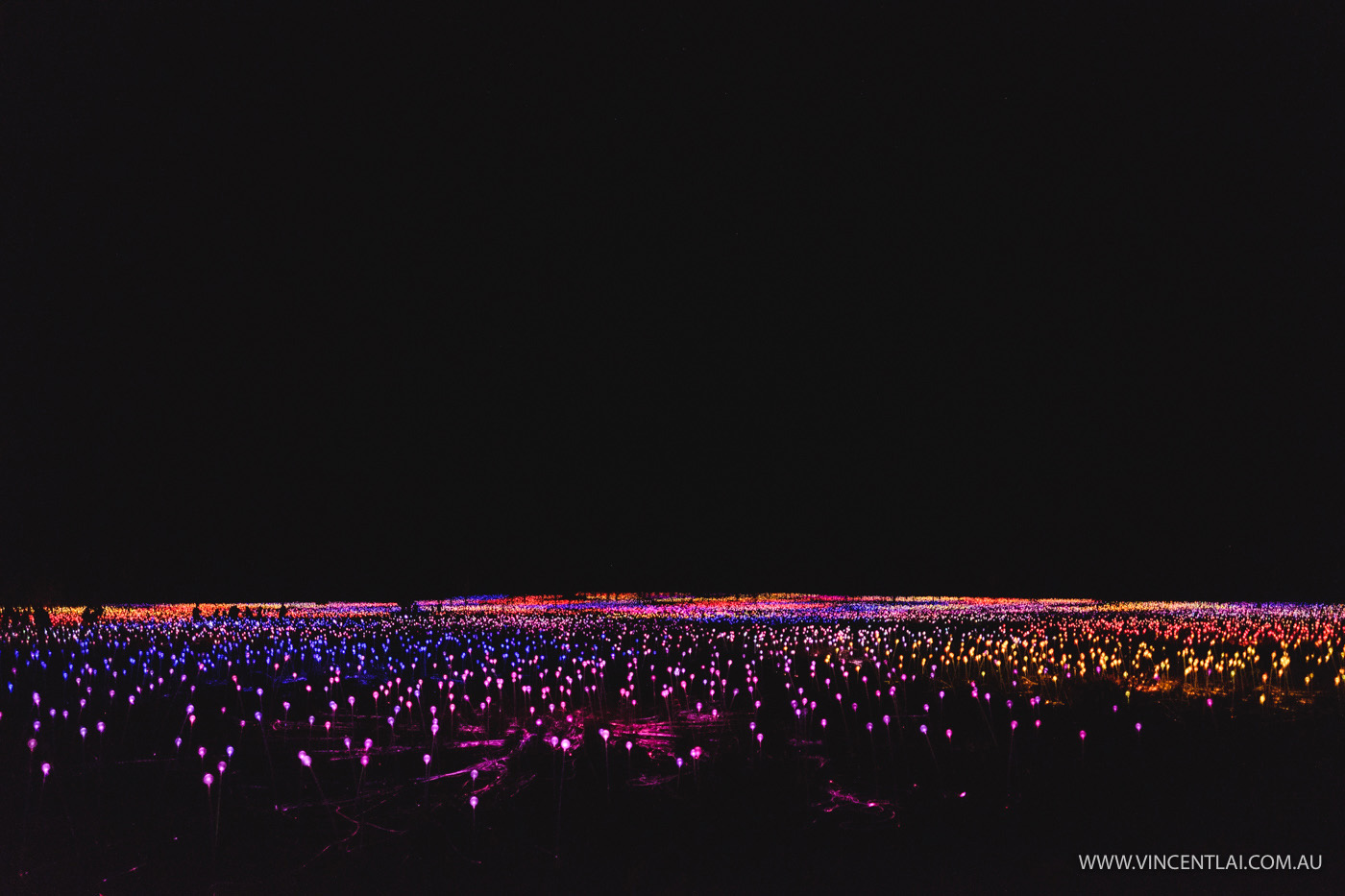 Field of Light Uluru