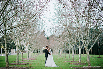 Waterview Bicentennial Park Wedding