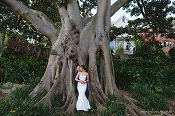 Lavender Bay prewedding photo session