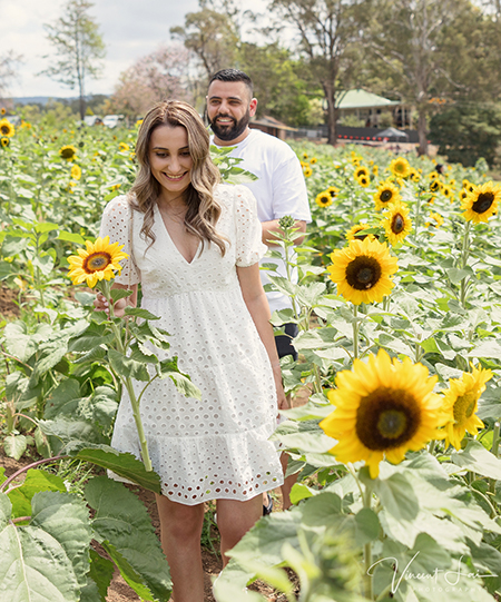 Glenbernie Sunflower Farm